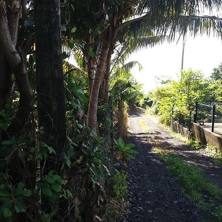 Location Saisonniere Le Clos Des Agrumes Sainte Anne Luaran gambar