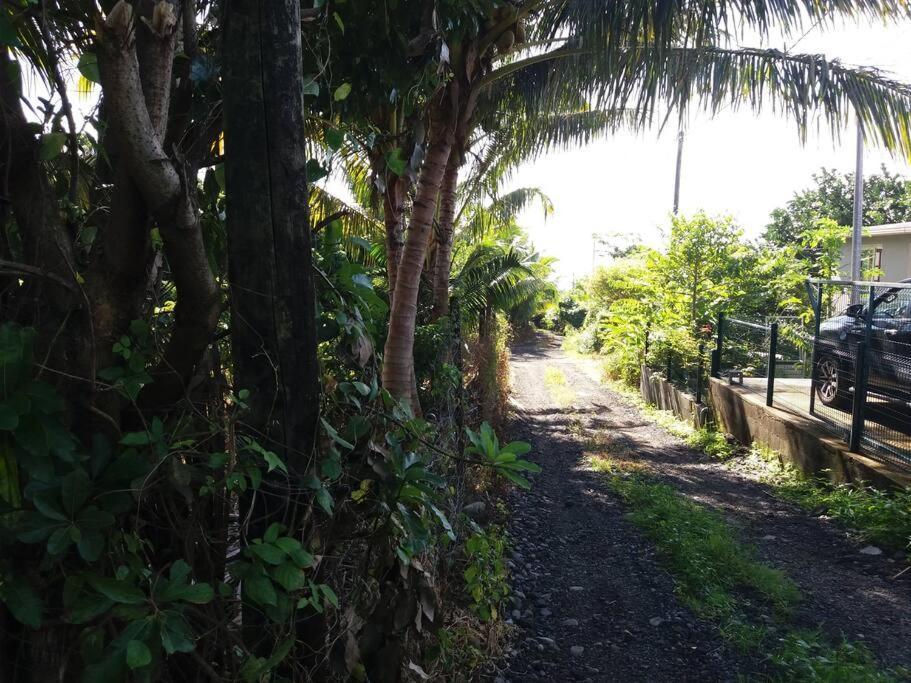 Location Saisonniere Le Clos Des Agrumes Sainte Anne Luaran gambar