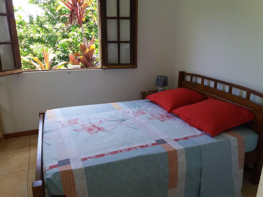 Location Saisonniere Le Clos Des Agrumes Sainte Anne Luaran gambar